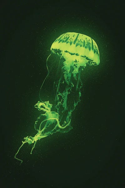Kids Ocean Life Art: Neon Jellyfish (Green) by Adam Cousins