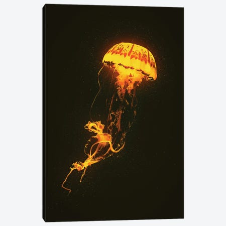 Neon Jellyfish (Orange) Canvas Print #CID41} by Adam Cousins Art Print