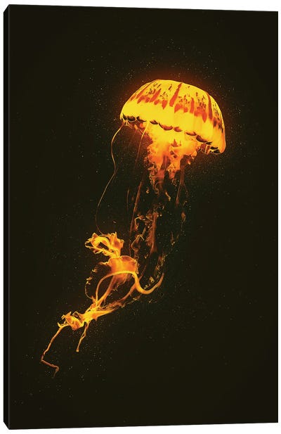 Neon Jellyfish (Orange) Canvas Art Print - Jellyfish Art