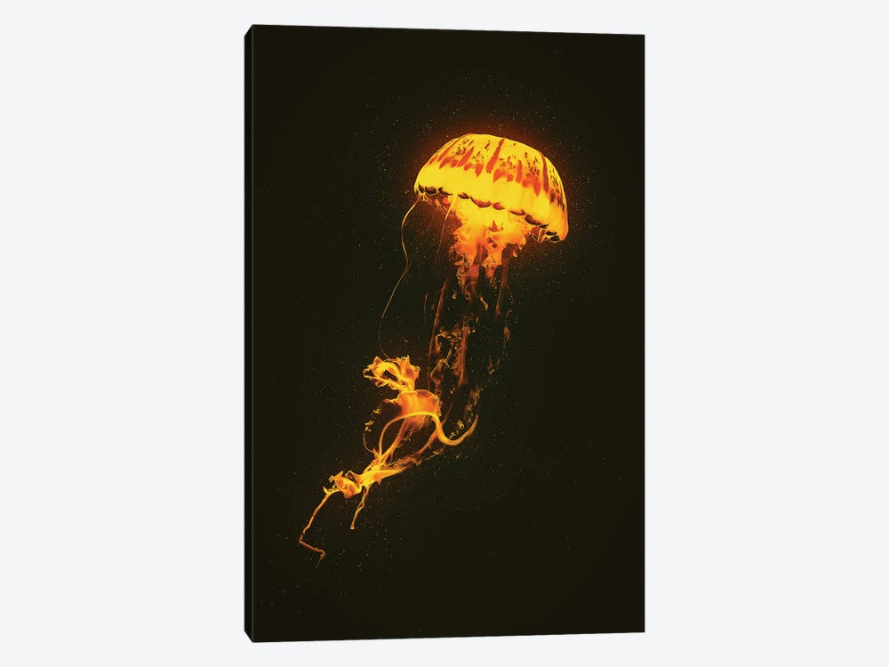 Neon Jellyfish (Orange) by Adam Cousins 1-piece Canvas Artwork
