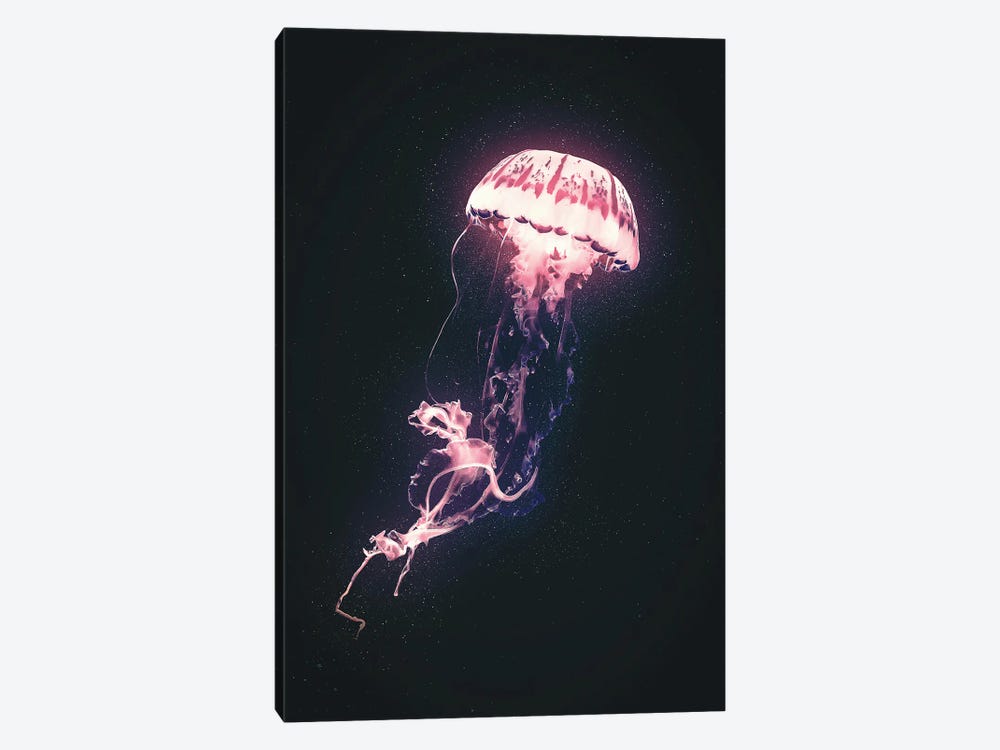 Neon Jellyfish (Pink) by Adam Cousins 1-piece Canvas Art Print