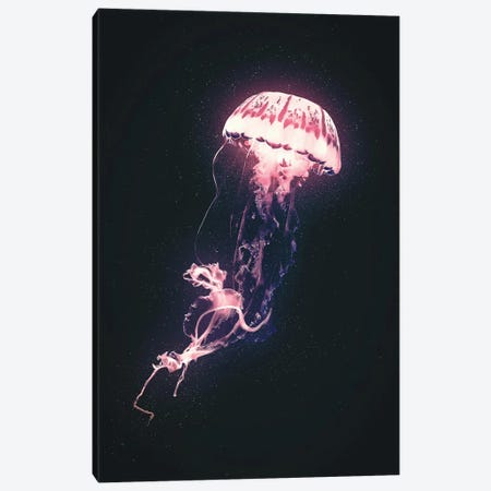 Neon Jellyfish (Pink) Canvas Print #CID42} by Adam Cousins Canvas Print