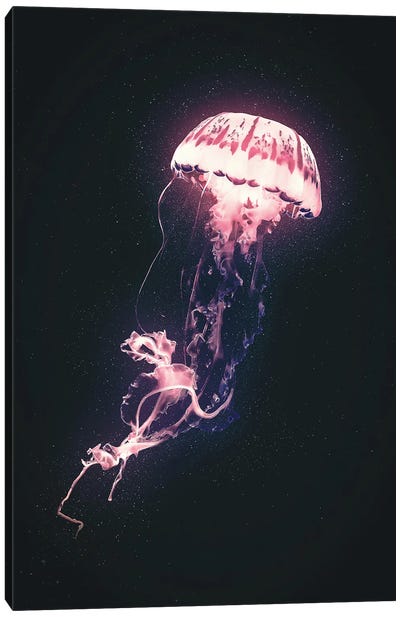 Neon Jellyfish (Pink) Canvas Art Print - Jellyfish Art