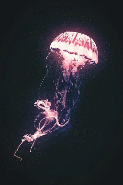 Kids Ocean Life Art: Neon Jellyfish (Pink) by Adam Cousins