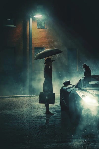 Black Cats: Nocturnal Rendezvous by Adam Cousins