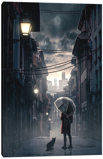 Rain Ghost Canvas Art Print - The Perfect Storm