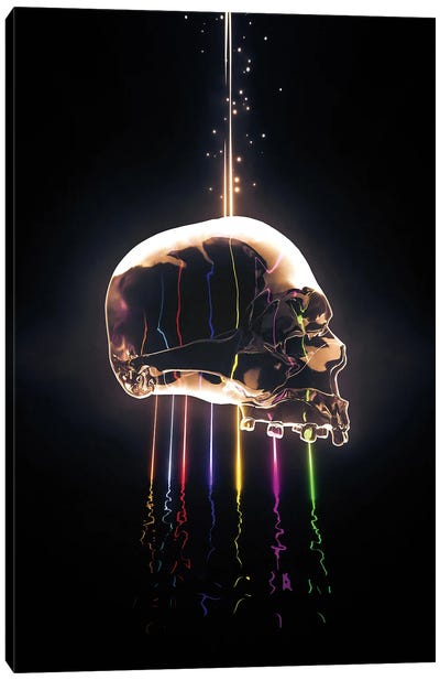 Spectrum Skull Canvas Art Print - Adam Cousins