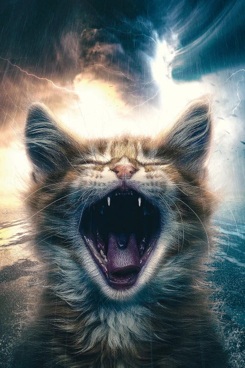 Tiny Roar by Adam Cousins wall art