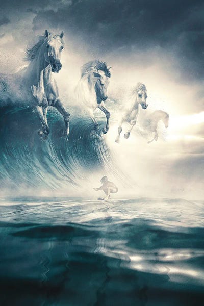 White Horses by Adam Cousins canvas print