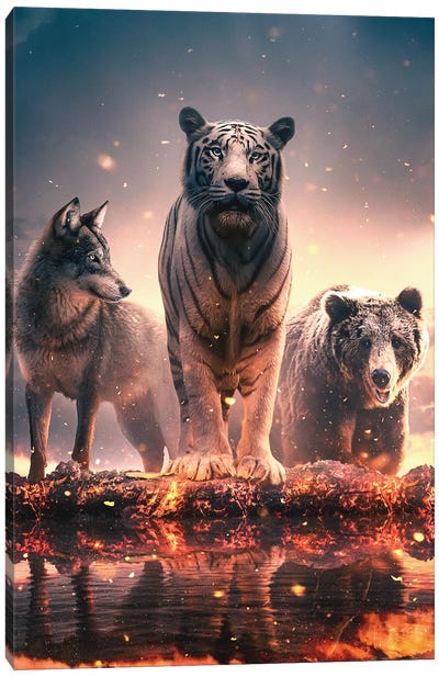 Wolf Tiger And Bear Canvas Art Print - Adam Cousins