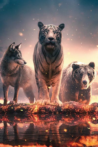 Tigers: Wolf Tiger And Bear by Adam Cousins