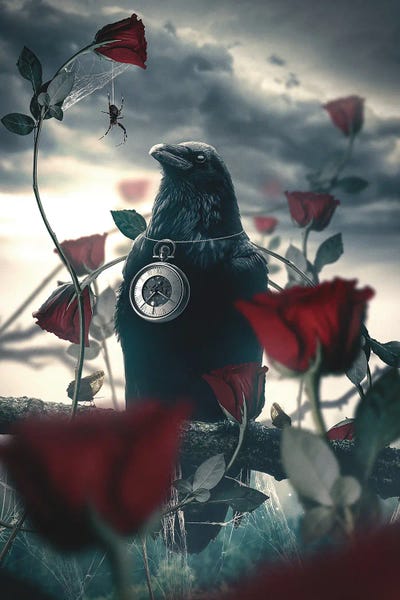 Crow And Rose by Adam Cousins canvas print