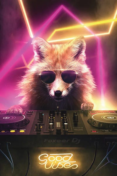 Adam Cousins: Fox DJ by Adam Cousins