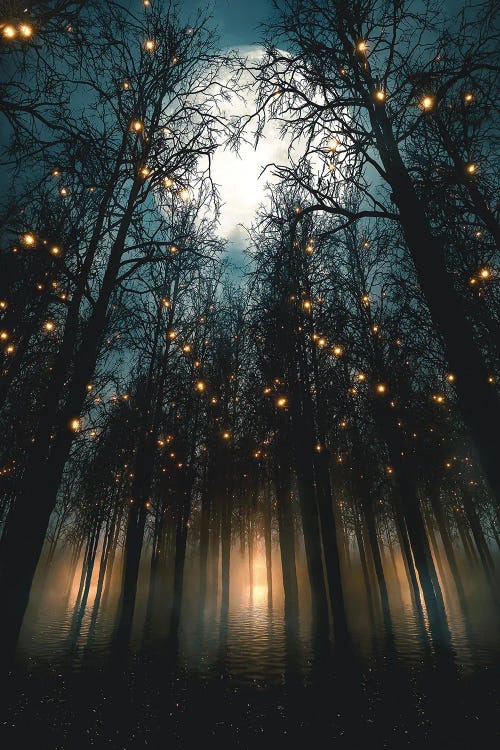 Moonlit Nights Under Forest Lights