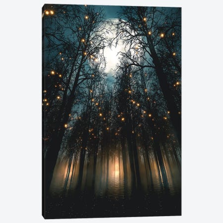 Moonlit Nights Under Forest Lights Canvas Print #CID62} by Adam Cousins Art Print