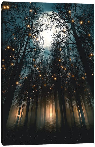 Moonlit Nights Under Forest Lights Canvas Art Print - Adam Cousins