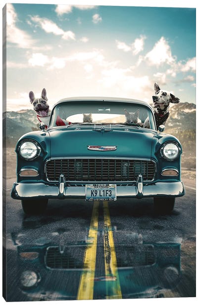 Doggy Joyride Canvas Art Print - Animal & Pet Photography