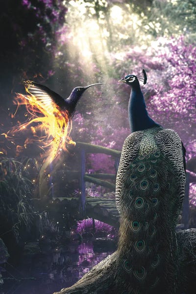 Peacock And Hummingbird by Adam Cousins framed wall art