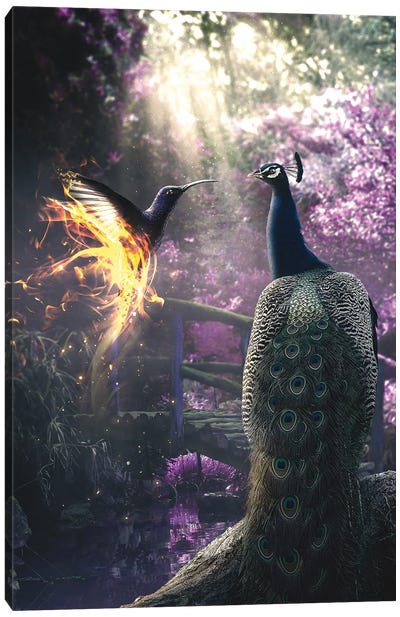 Peacock And Hummingbird Canvas Art Print - Adam Cousins