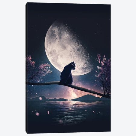 Black Cat And Moon Canvas Print #CID7} by Adam Cousins Canvas Print