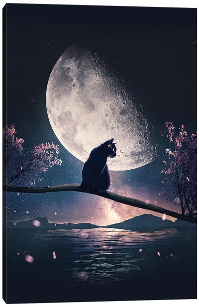 Black Cat And Moon Canvas Art Print - Adam Cousins