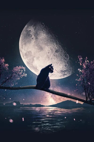 Dreamer: Black Cat And Moon by Adam Cousins