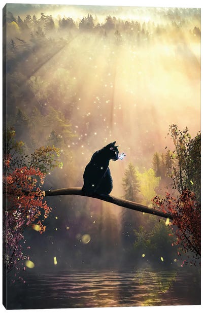 Black Cat In Magical Wood Canvas Art Print - Animal & Pet Photography