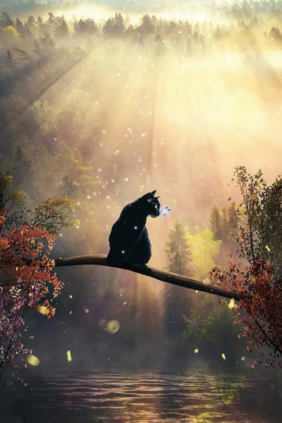 Golden Hour Animals: Black Cat In Magical Wood by Adam Cousins