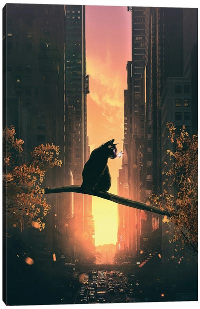 Black Cat In The City Canvas Art Print - Adam Cousins