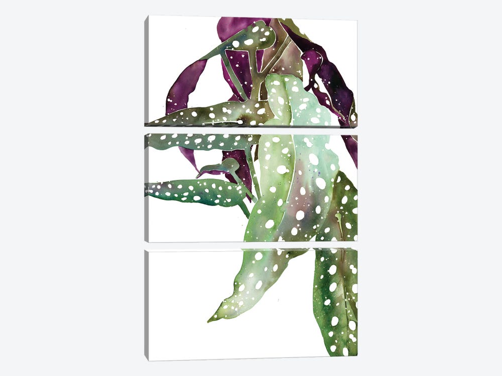 Polka Dot Begonia by CreativeIngrid 3-piece Canvas Art