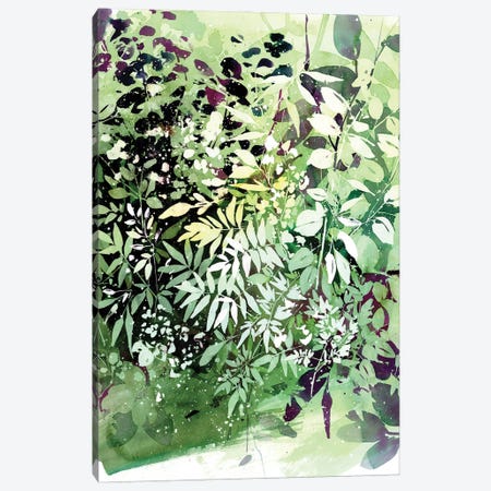 Green Garden Canvas Print #CIG60} by CreativeIngrid Canvas Wall Art