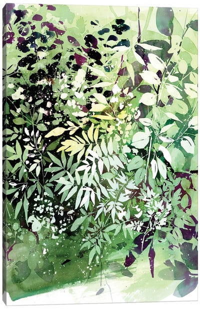Green Garden Canvas Art Print - Green with Envy