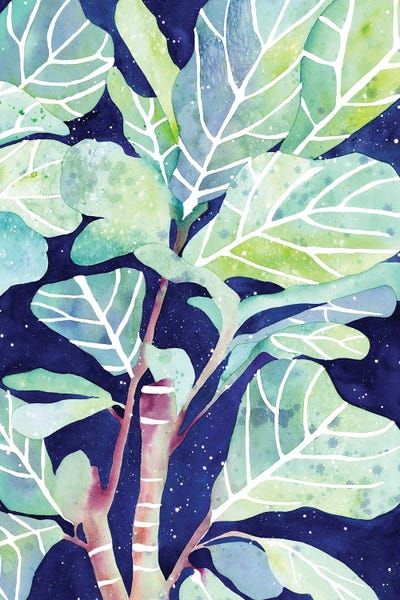 Fig Plant by CreativeIngrid art print