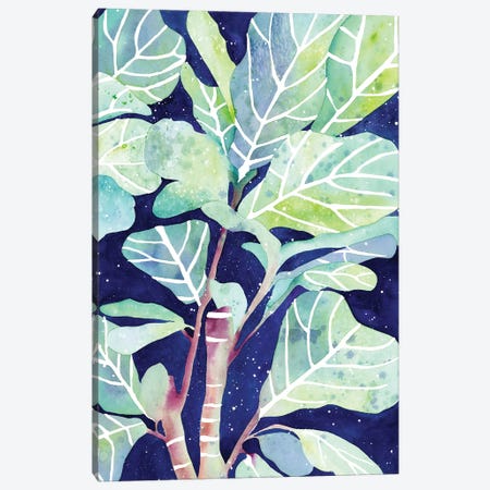 Fig Plant Canvas Print #CIG94} by CreativeIngrid Canvas Wall Art