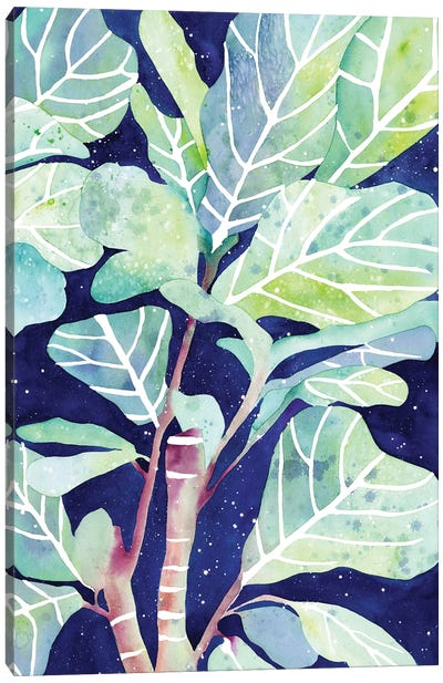 Fig Plant Canvas Art Print - CreativeIngrid