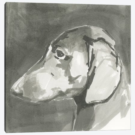 A Very Neutral Modern Dog II Canvas Print #CII62} by Cartissi Canvas Wall Art