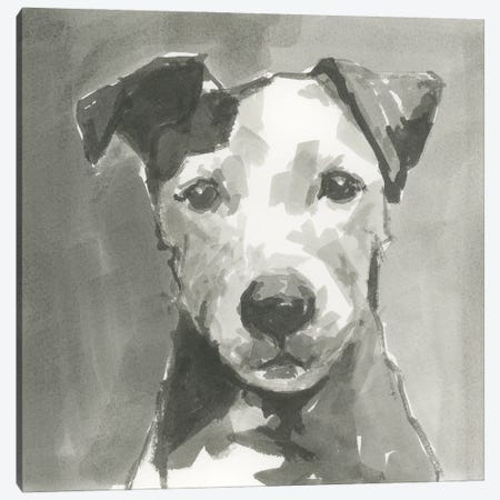 A Very Neutral Modern Dog VI Canvas Print #CII65} by Cartissi Canvas Art Print