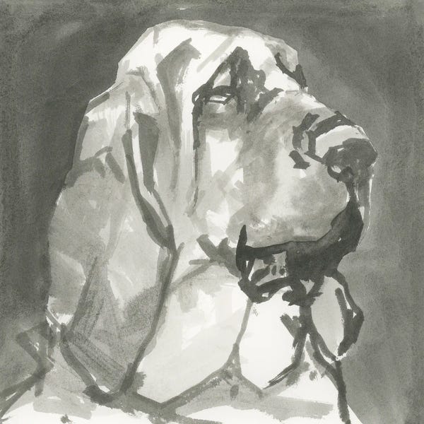 cartissi: A Very Neutral Modern Dog VII by cartissi