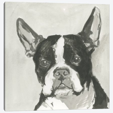 A Very Neutral Modern Dog X Canvas Print #CII67} by Cartissi Canvas Print