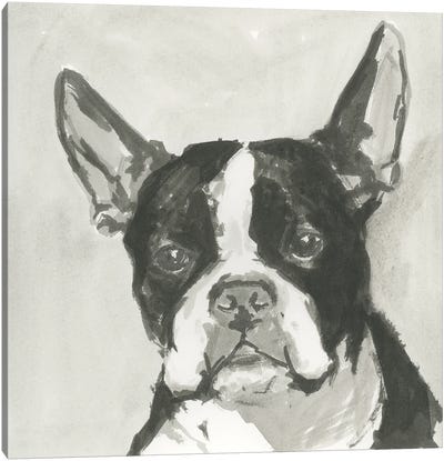 A Very Neutral Modern Dog X Canvas Art Print