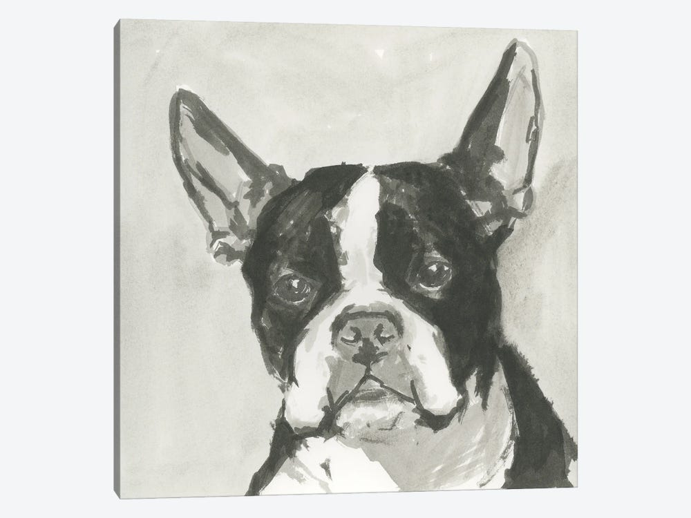 A Very Neutral Modern Dog X by Cartissi 1-piece Canvas Print