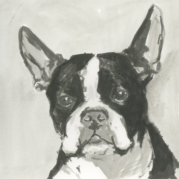 cartissi: A Very Neutral Modern Dog X by cartissi