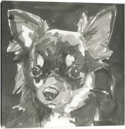 A Very Neutral Modern Dog XI Canvas Art Print
