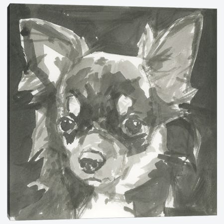 A Very Neutral Modern Dog XI Canvas Print #CII68} by Cartissi Canvas Wall Art