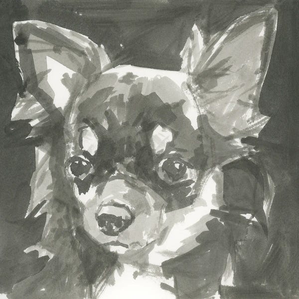 cartissi: A Very Neutral Modern Dog XI by cartissi