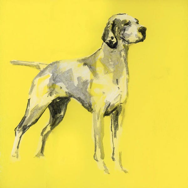 cartissi: A Very Pop Modern Dog I by cartissi