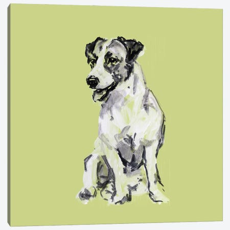 A Very Pop Modern Dog III Canvas Print #CII71} by Cartissi Canvas Art Print