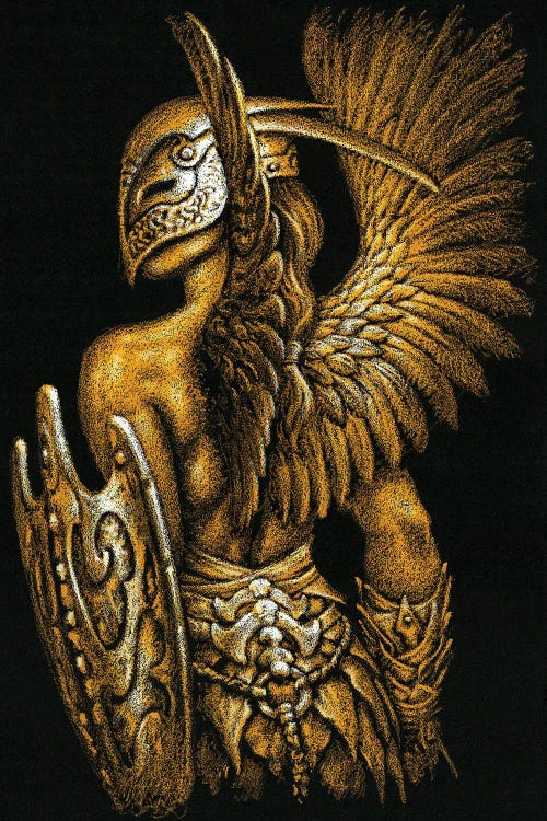 Amazona VIII