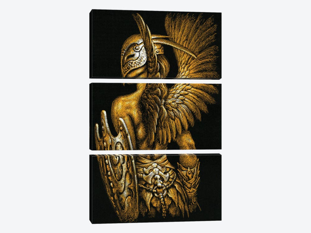 Amazona VIII by Ciruelo 3-piece Art Print