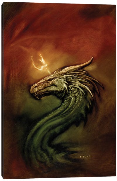 Igikuna Touched By The Fairies' Light Canvas Art Print - Dragon Art